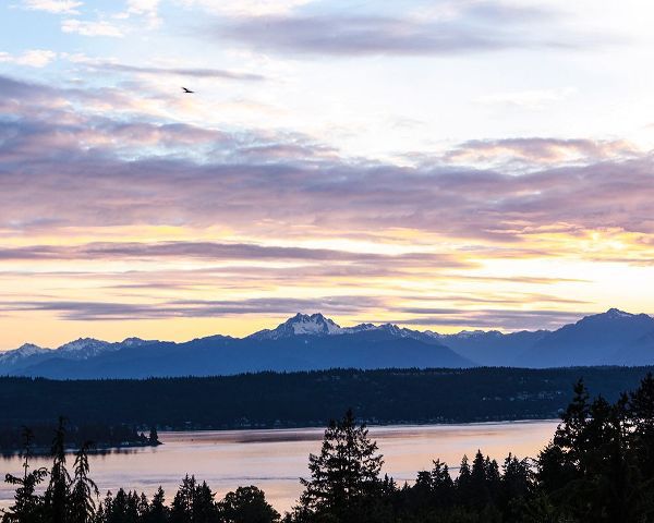 Sienda, Jolly 아티스트의 Bremerton-Washington State-Olympic Mountains-Puget Sound작품입니다.